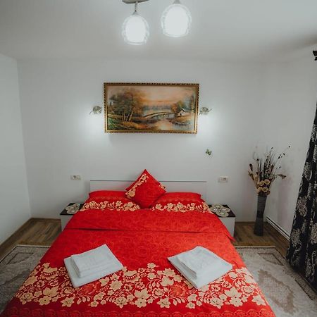 Casa Andreea Si Grigore Ursu Borşa 外观 照片
