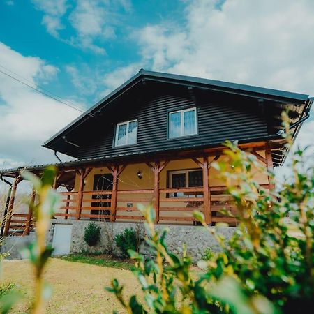 Casa Andreea Si Grigore Ursu Borşa 外观 照片