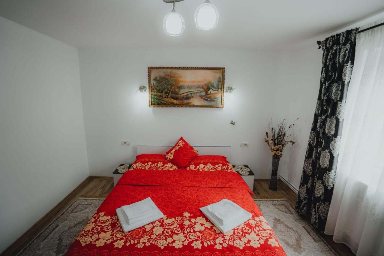 Casa Andreea Si Grigore Ursu Borşa 外观 照片