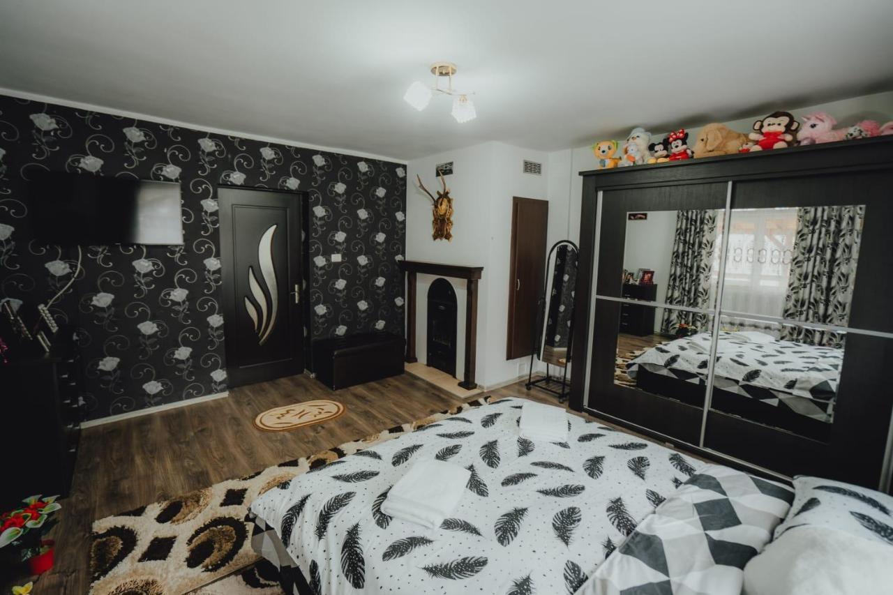 Casa Andreea Si Grigore Ursu Borşa 外观 照片