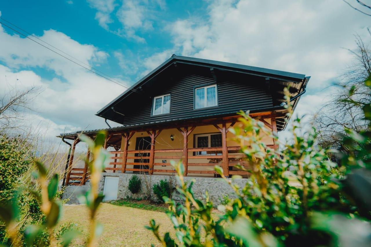 Casa Andreea Si Grigore Ursu Borşa 外观 照片