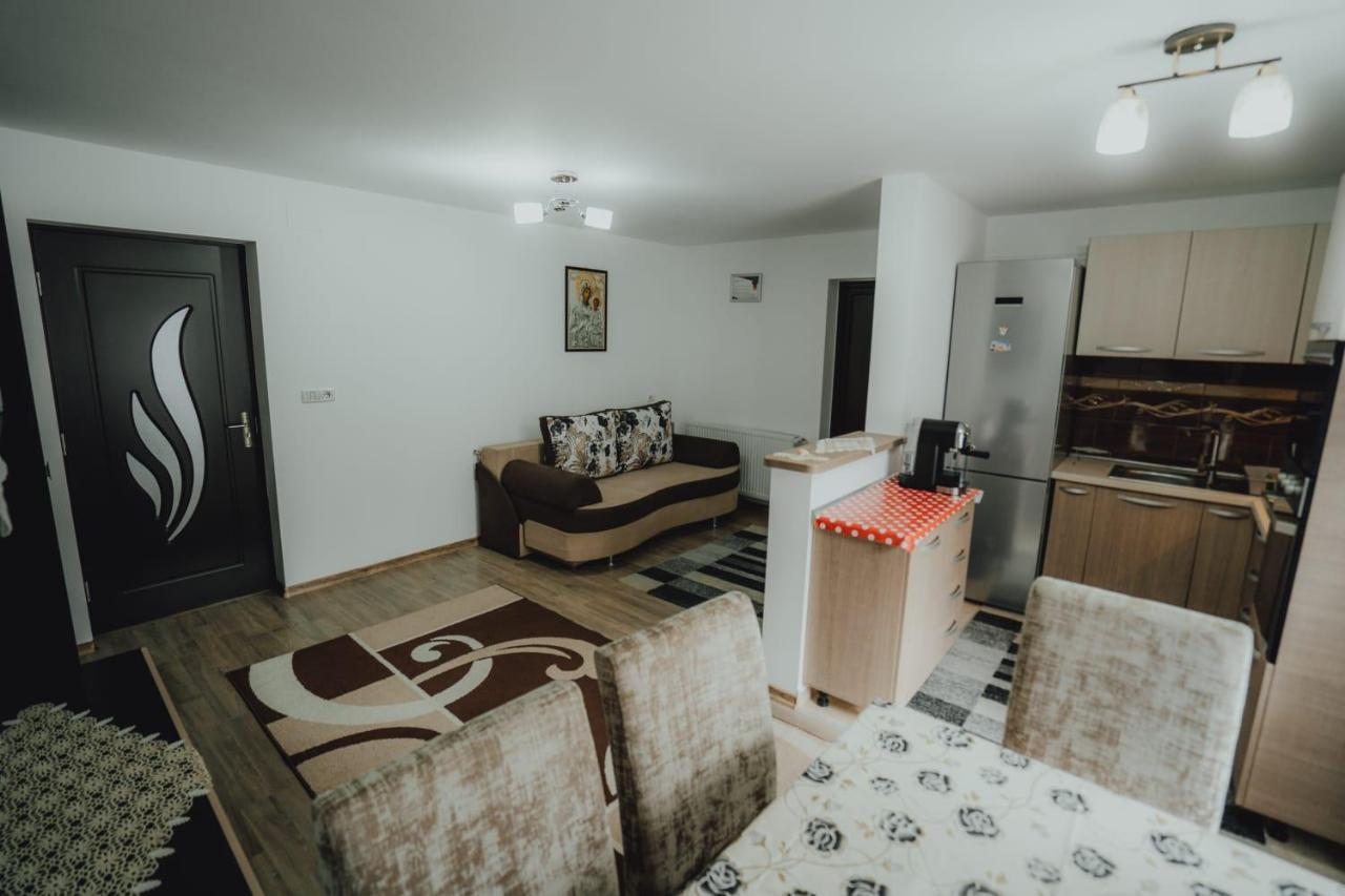 Casa Andreea Si Grigore Ursu Borşa 外观 照片
