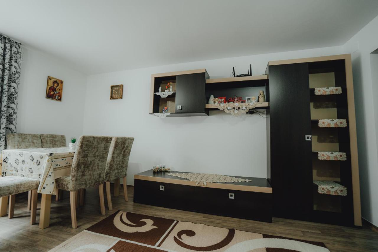 Casa Andreea Si Grigore Ursu Borşa 外观 照片