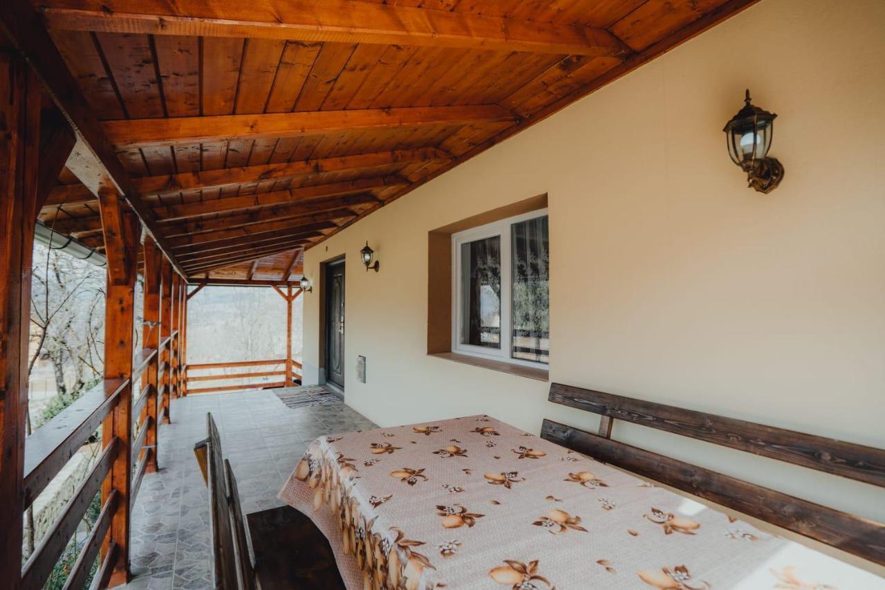 Casa Andreea Si Grigore Ursu Borşa 外观 照片