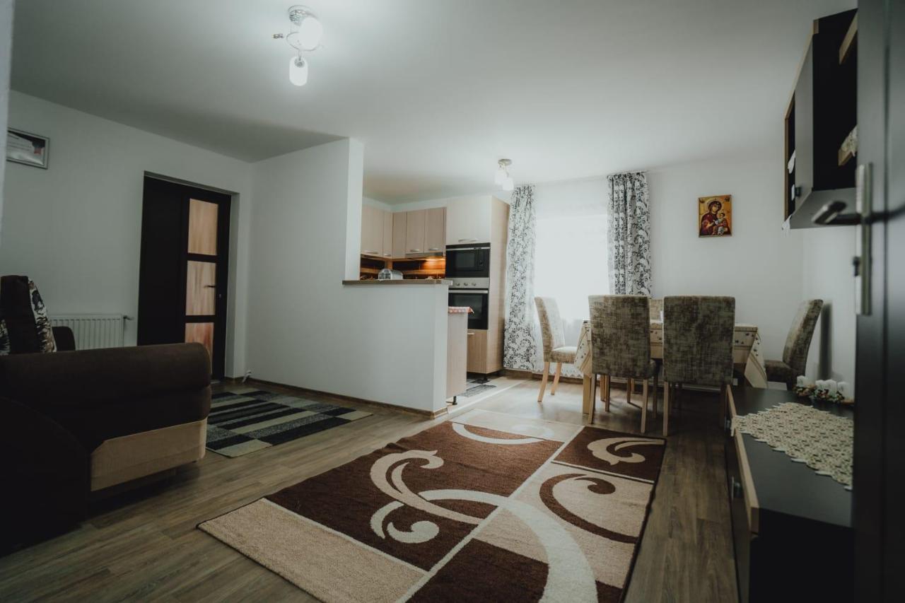 Casa Andreea Si Grigore Ursu Borşa 外观 照片