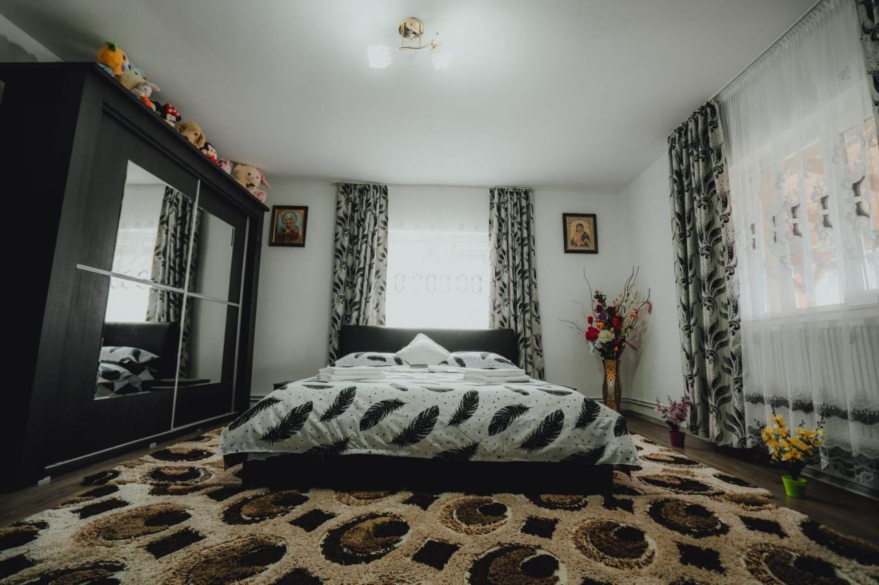 Casa Andreea Si Grigore Ursu Borşa 外观 照片