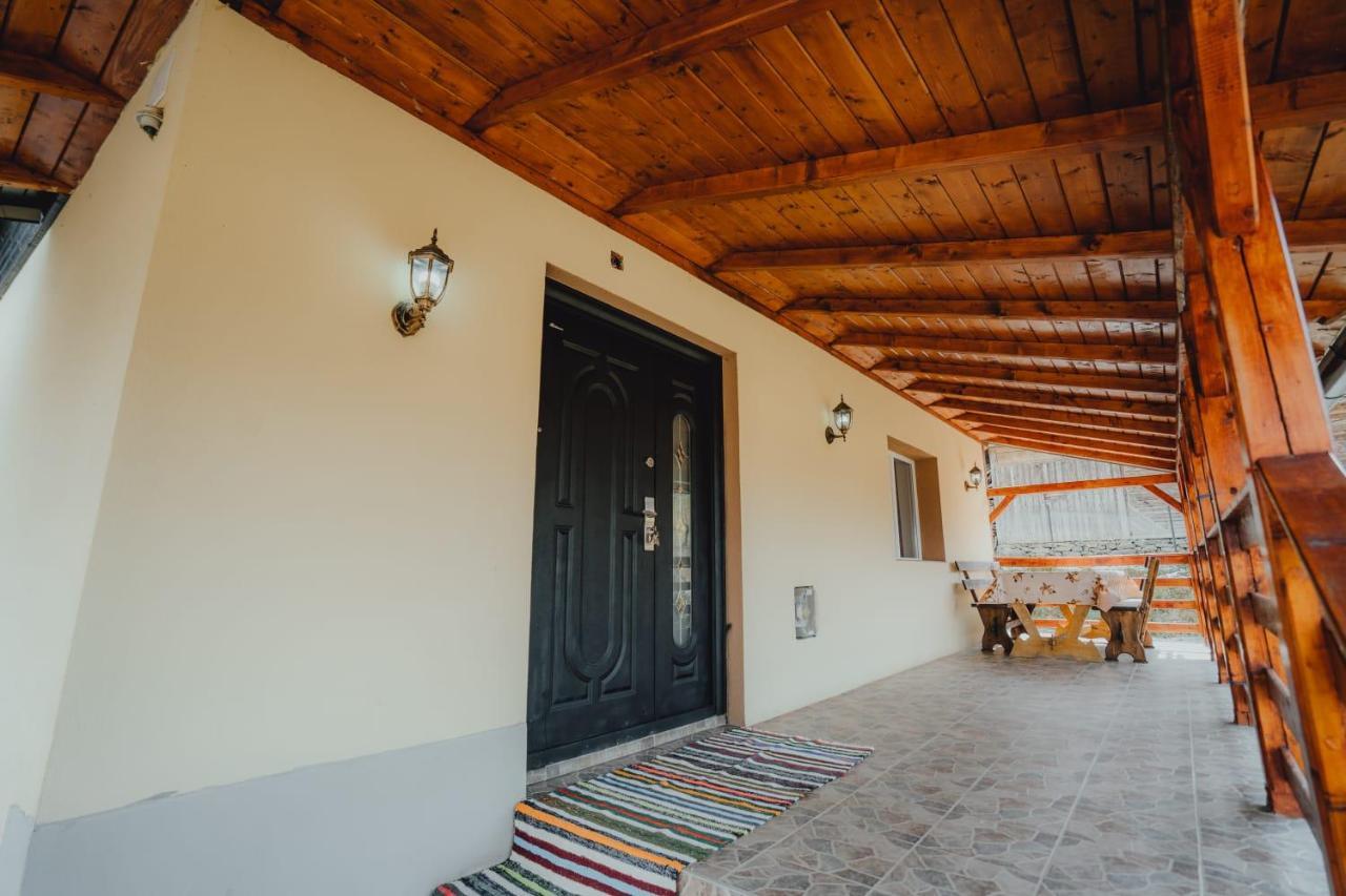 Casa Andreea Si Grigore Ursu Borşa 外观 照片
