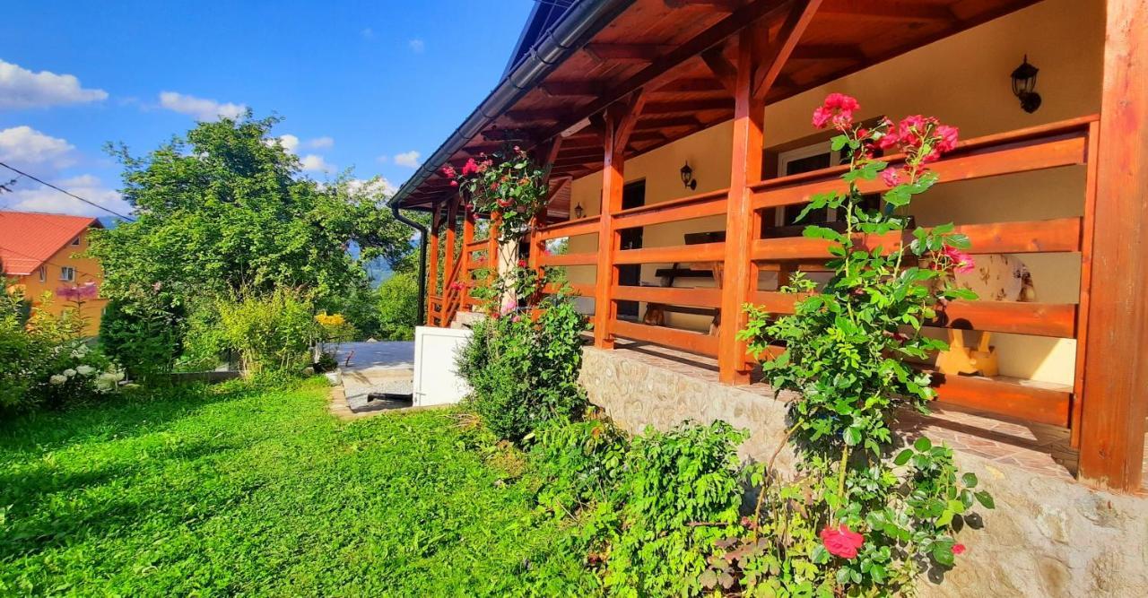 Casa Andreea Si Grigore Ursu Borşa 外观 照片
