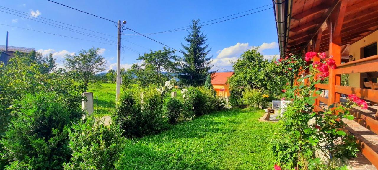 Casa Andreea Si Grigore Ursu Borşa 外观 照片