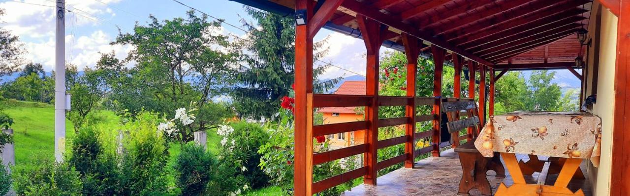 Casa Andreea Si Grigore Ursu Borşa 外观 照片